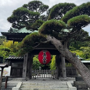 Machi Katsuragiの写メ日記｜エレガント 川崎高級店ソープ