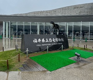 Mae Yashiroの写メ日記｜エレガント 川崎高級店ソープ