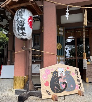 Mae Yashiroの写メ日記｜エレガント 川崎高級店ソープ