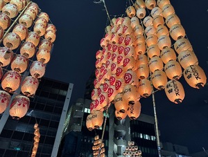 Mae Yashiroの写メ日記｜エレガント 川崎高級店ソープ
