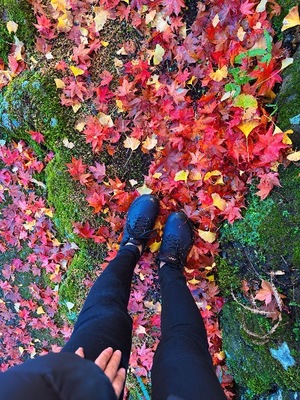 Mae Yashiroの写メ日記|エレガント 川崎高級店ソープ