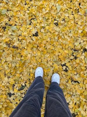 Mae Yashiroの写メ日記｜エレガント 川崎堀之内高級店ソープ