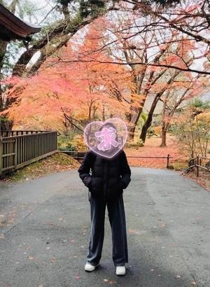 Mae Yashiroの写メ日記｜エレガント 川崎堀之内高級店ソープ