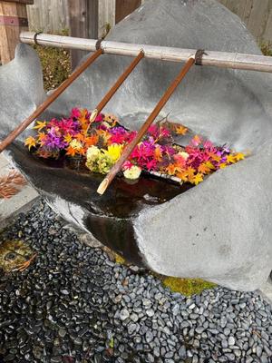 Mae Yashiroの写メ日記｜エレガント 川崎堀之内高級店ソープ