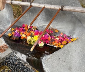 Mae Yashiroの写メ日記｜エレガント 川崎堀之内高級店ソープ