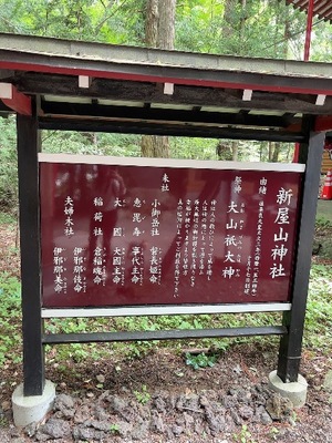 Yu Shiraneの写メ日記｜エレガント 川崎高級店ソープ