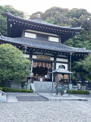 Yu Shiraneの写メ日記｜エレガント 川崎高級店ソープ
