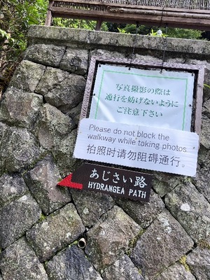 Yu Shiraneの写メ日記｜エレガント 川崎高級店ソープ
