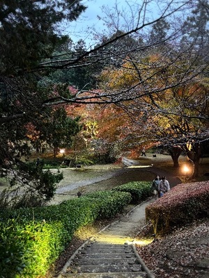 Yu Shiraneの写メ日記｜エレガント 川崎高級店ソープ