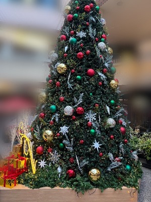 Yu Shiraneの写メ日記｜エレガント 川崎高級店ソープ