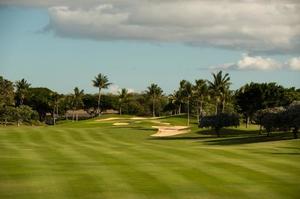 Emi Terasawaの写メ日記｜エレガント 川崎堀之内高級店ソープ