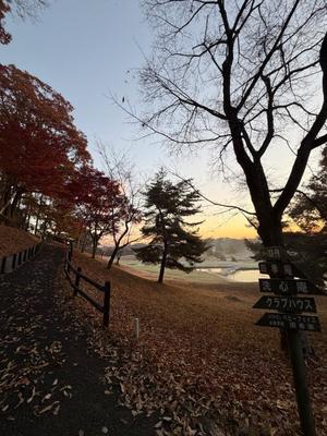 Emi Terasawaの写メ日記｜エレガント 川崎堀之内高級店ソープ