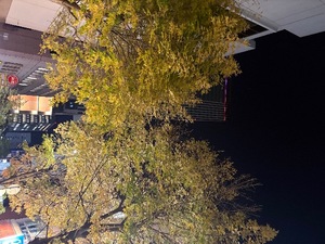 Keiko Kamiyaの写メ日記｜エレガント 川崎高級店ソープ