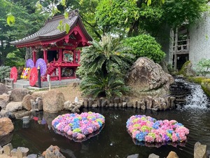 Mami Nonakaの写メ日記｜エレガント 川崎高級店ソープ