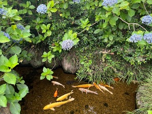 Mami Nonakaの写メ日記｜エレガント 川崎高級店ソープ