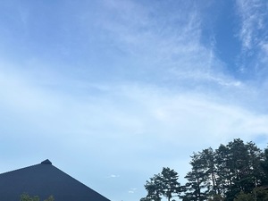 Sanae Himuroの写メ日記｜エレガント 川崎堀之内高級店ソープ