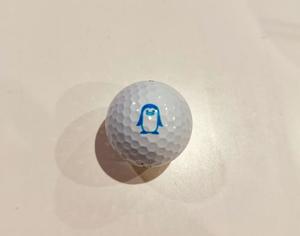 Sanae Himuroの写メ日記｜エレガント 川崎高級店ソープ