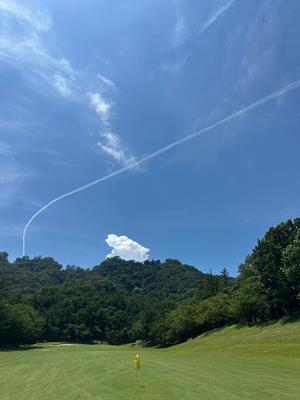 Sanae Himuroの写メ日記｜エレガント 川崎高級店ソープ