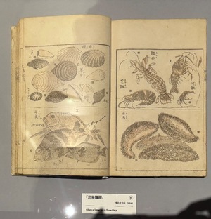 Ayami Imaiの写メ日記｜エレガント 川崎高級店ソープ