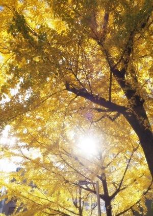 Ayami Imaiの写メ日記｜エレガント 川崎高級店ソープ