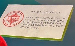 Rin Izumiの写メ日記｜エレガント 川崎高級店ソープ