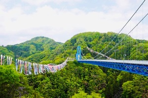 Shizuku Tsukinoの写メ日記｜エレガント 川崎高級店ソープ
