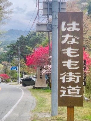 Shizuku Tsukinoの写メ日記｜エレガント 川崎高級店ソープ