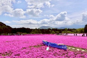 Shizuku Tsukinoの写メ日記｜エレガント 川崎高級店ソープ