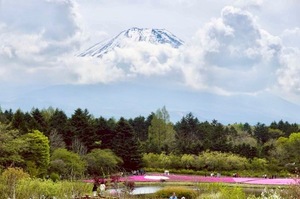 Shizuku Tsukinoの写メ日記｜エレガント 川崎高級店ソープ