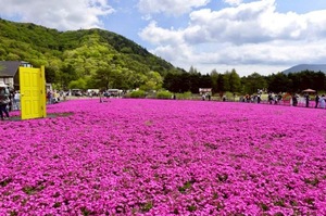 Shizuku Tsukinoの写メ日記｜エレガント 川崎高級店ソープ