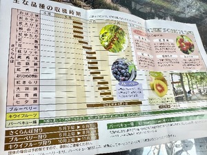 Shizuku Tsukinoの写メ日記｜エレガント 川崎高級店ソープ