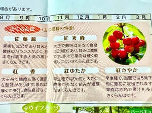 Shizuku Tsukinoの写メ日記｜エレガント 川崎高級店ソープ
