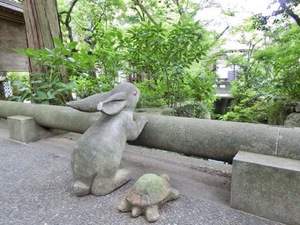 Shizuku Tsukinoの写メ日記｜エレガント 川崎高級店ソープ