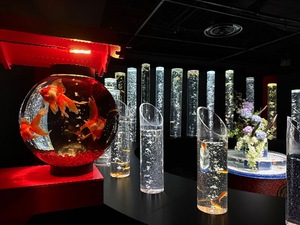Shizuku Tsukinoの写メ日記｜エレガント 川崎高級店ソープ