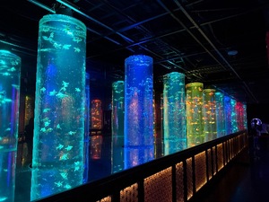 Shizuku Tsukinoの写メ日記｜エレガント 川崎高級店ソープ