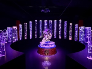Shizuku Tsukinoの写メ日記｜エレガント 川崎高級店ソープ