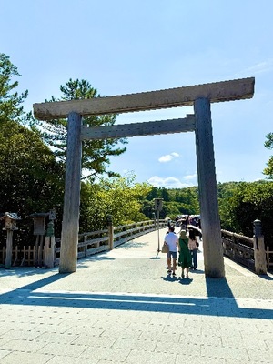Shizuku Tsukinoの写メ日記｜エレガント 川崎高級店ソープ