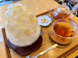 Shizuku Tsukinoの写メ日記｜エレガント 川崎高級店ソープ