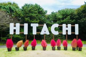 Shizuku Tsukinoの写メ日記｜エレガント 川崎高級店ソープ