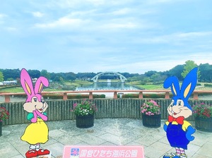 Shizuku Tsukinoの写メ日記｜エレガント 川崎高級店ソープ