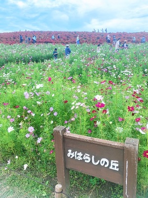 Shizuku Tsukinoの写メ日記｜エレガント 川崎高級店ソープ