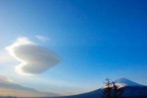 Shizuku Tsukinoの写メ日記｜エレガント 川崎堀之内高級店ソープ