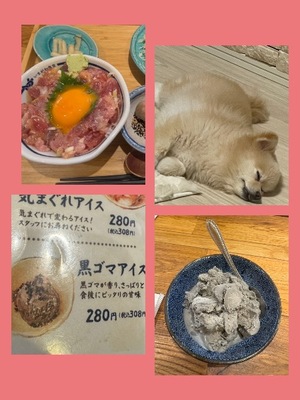 Saika　Houzukiの写メ日記｜エレガント 川崎高級店ソープ