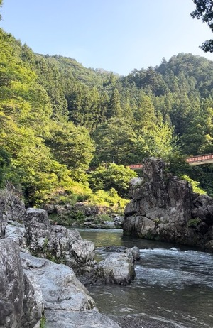 Ikuの写メ日記｜プレミアム 川崎高級店ソープ