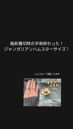 りさの写メ日記｜VIP～ビップ～ 川崎高級店ソープ